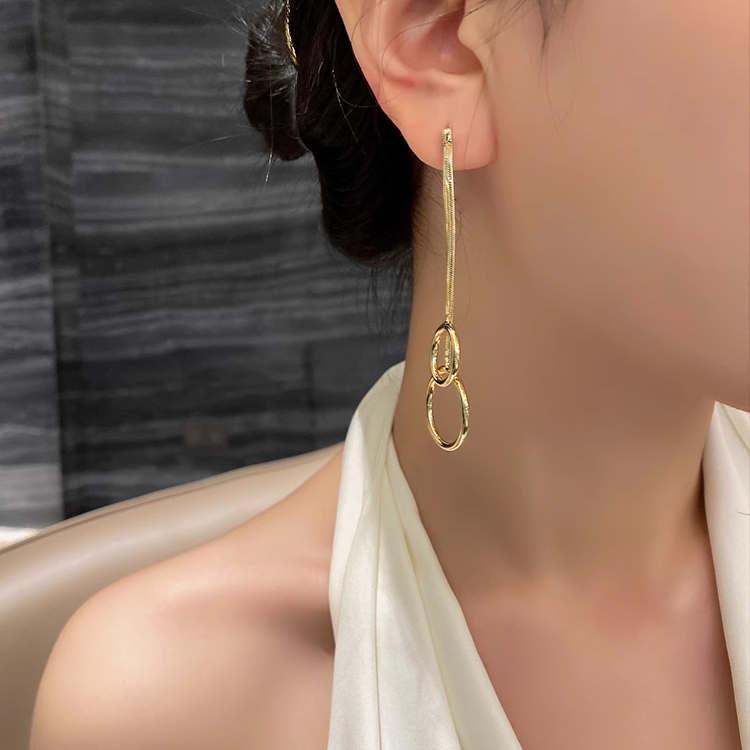 Exaggerated circle earrings long tassel earrings for women 2024 new trendy earrings simple temperament internet famous ear accessories