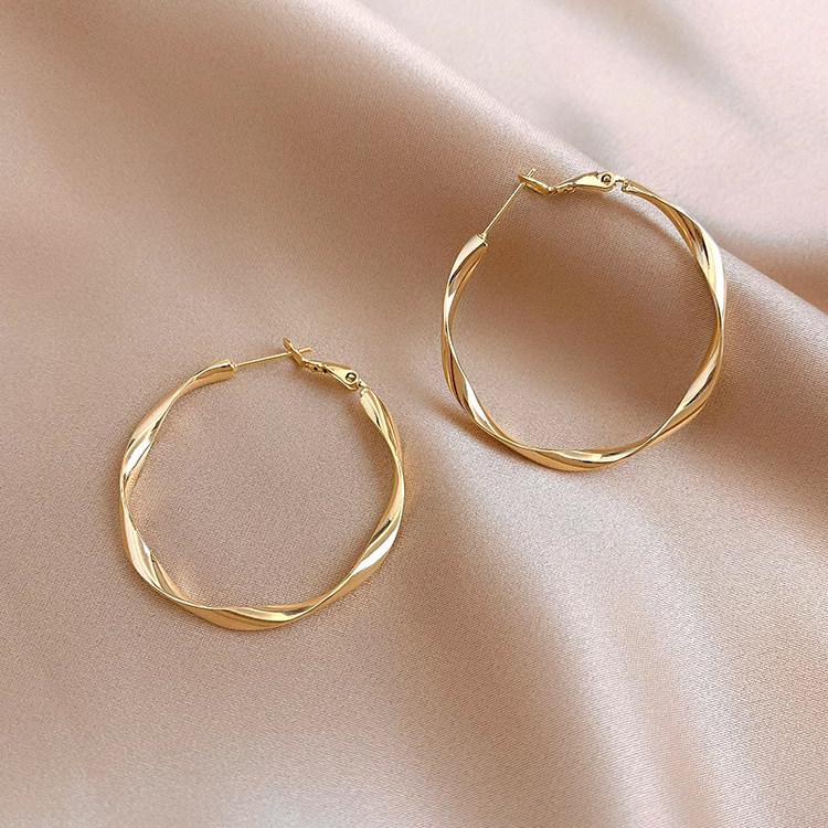 Korean style slimming twisted earrings, trendy women's internet celebrity circles, simple, fashionable, personalized earrings, exaggerated new earrings