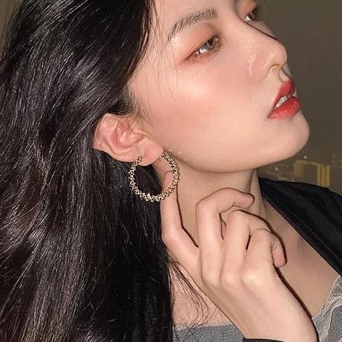 Versatile temperament circle earrings, Korean internet celebrity female trendy earrings, exaggerated personality, fashionable earrings, women's simple ear accessories