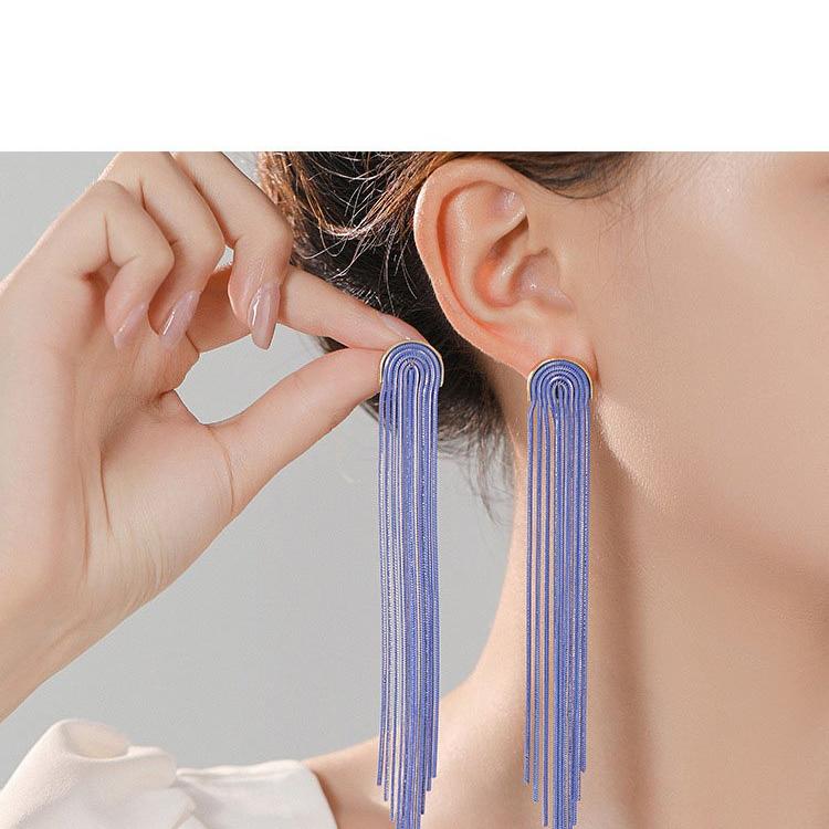 European and American popular light luxury earrings with exaggerated high-end feel, new silver stud post fashion long tassel women's earrings