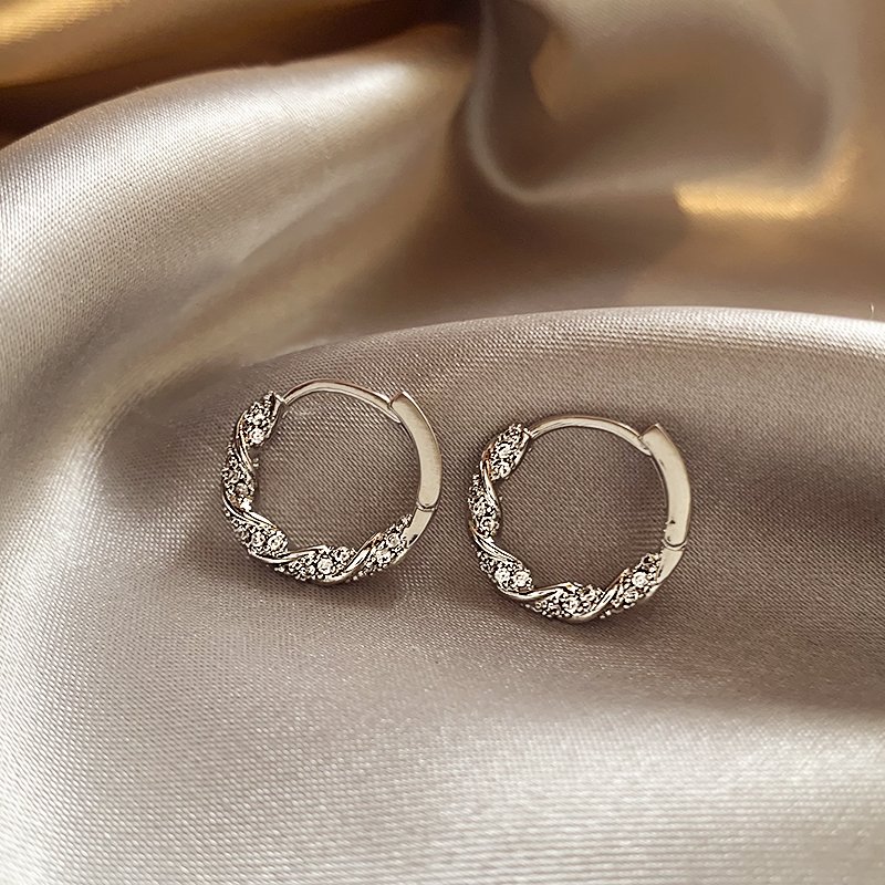 2024 New Circle Earrings with Light Luxury Charm s925 Silver stud post Pearl Earrings Earrings and Buckles, Unique Design Earrings