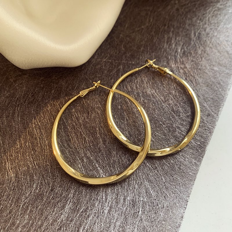 Circle earrings for women, luxurious and high-end, exaggerated large earrings, 2024 new explosive style earrings, earrings and accessories