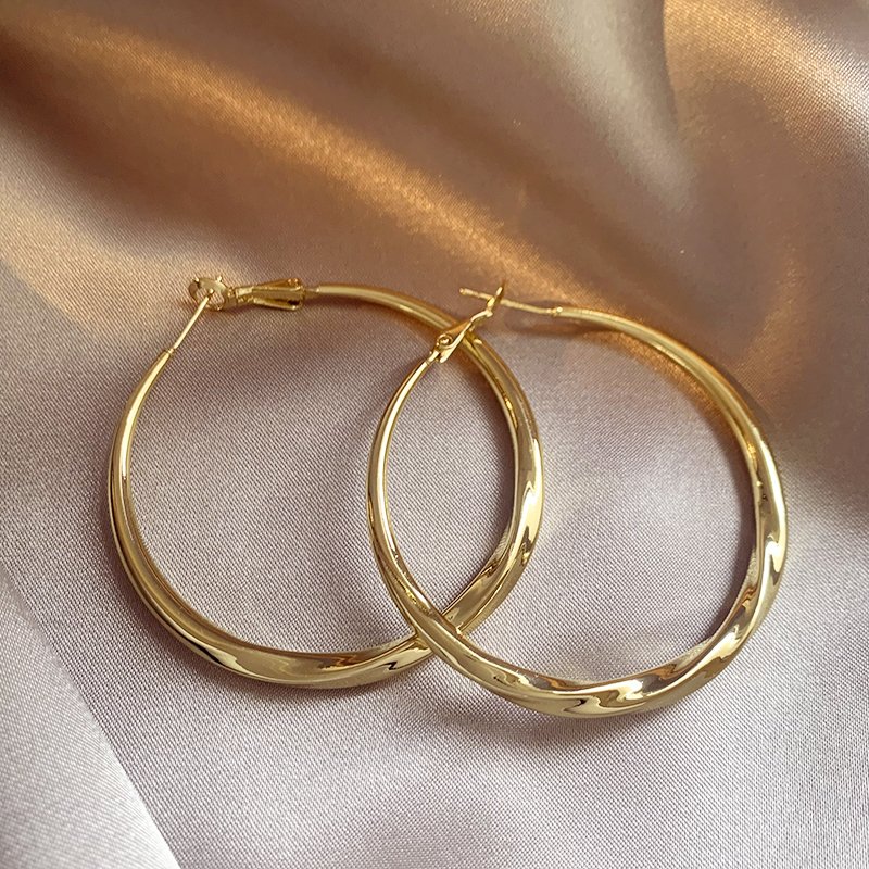 Exaggerated large circle earrings with elegant temperament, women's light luxury, niche high-end feeling, 2024 new popular circle earrings, unique