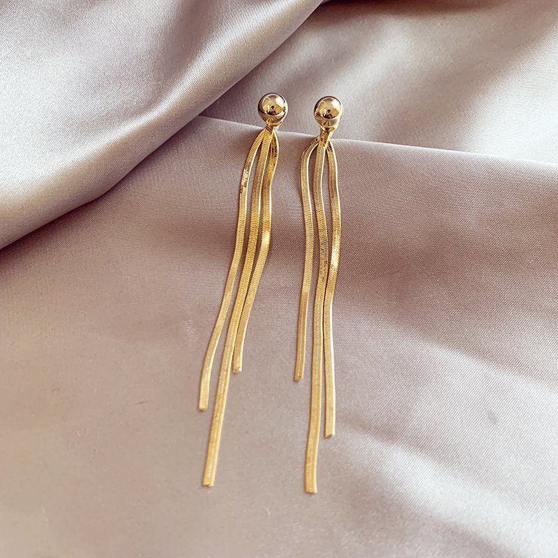 Long tassel earrings for women with a sense of luxury, light and luxurious temperament. Earrings, 2024 new popular, unique earrings and accessories