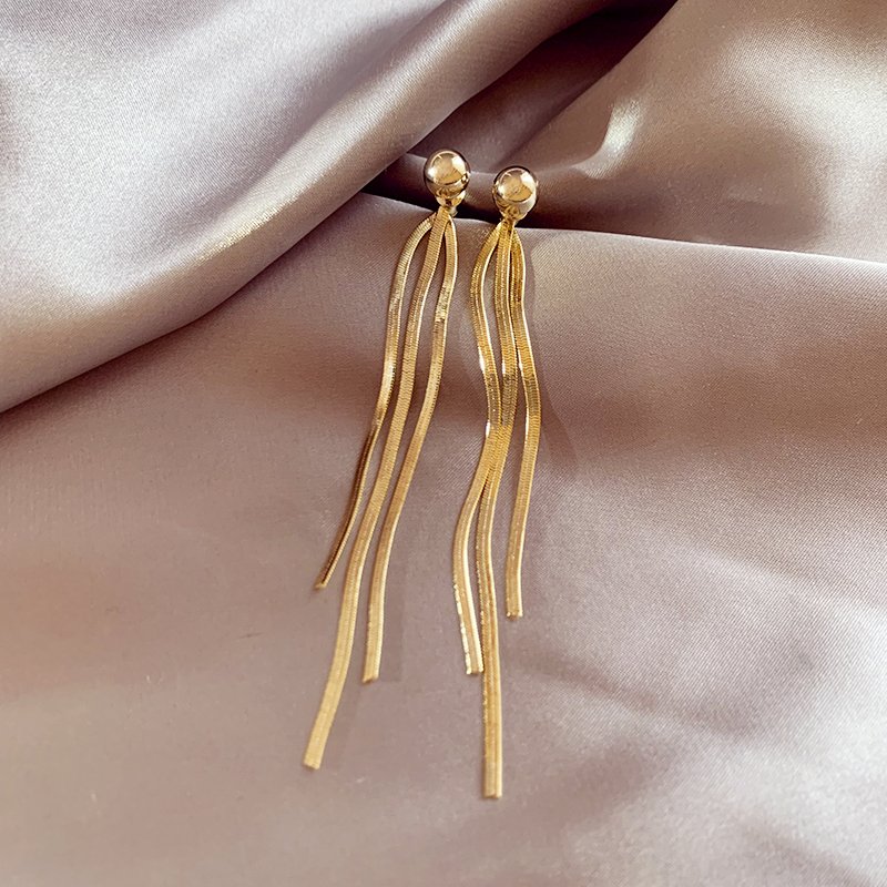 Long tassel earrings for women with a sense of luxury, light and luxurious temperament. Earrings, 2024 new popular, unique earrings and accessories