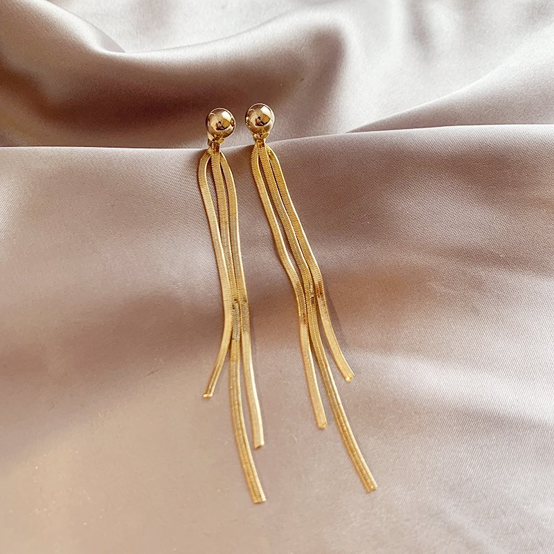 Long tassel earrings for women with a sense of luxury, light and luxurious temperament. Earrings, 2024 new popular, unique earrings and accessories