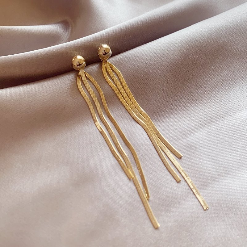 Long tassel earrings for women with a sense of luxury, light and luxurious temperament. Earrings, 2024 new popular, unique earrings and accessories