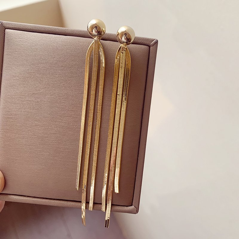 Long tassel earrings for women with a sense of luxury, light and luxurious temperament. Earrings, 2024 new popular, unique earrings and accessories