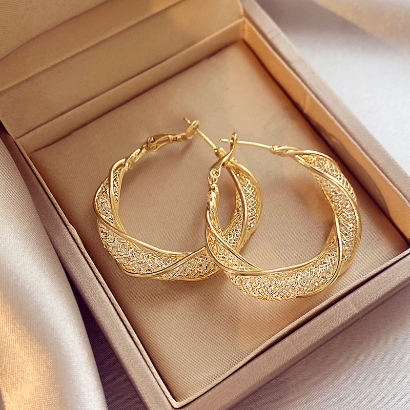 Mesh crystal unique earrings, women's light luxury temperament earrings, 2024 new popular high-end fashion earrings, earrings and accessories