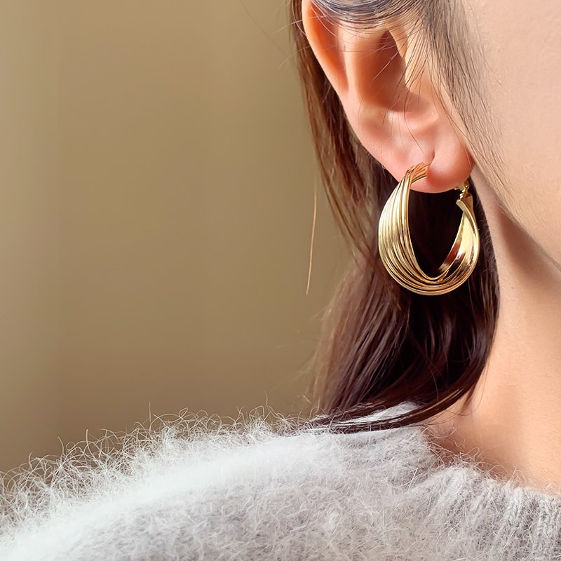 Metal circle earrings for women with a light luxury and high-end temperament. 2024 new popular and unique ear accessories