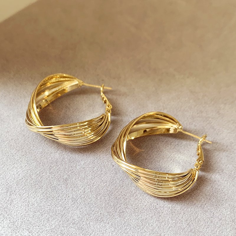 Metal circle earrings for women with a light luxury and high-end temperament. 2024 new popular and unique ear accessories