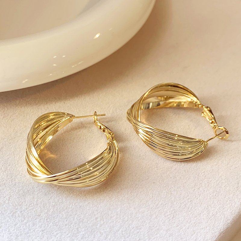 Metal circle earrings for women with a light luxury and high-end temperament. 2024 new popular and unique ear accessories