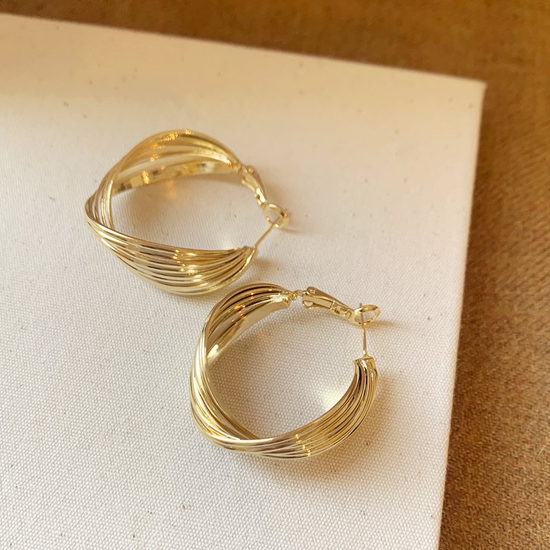 Metal circle earrings for women with a light luxury and high-end temperament. 2024 new popular and unique ear accessories