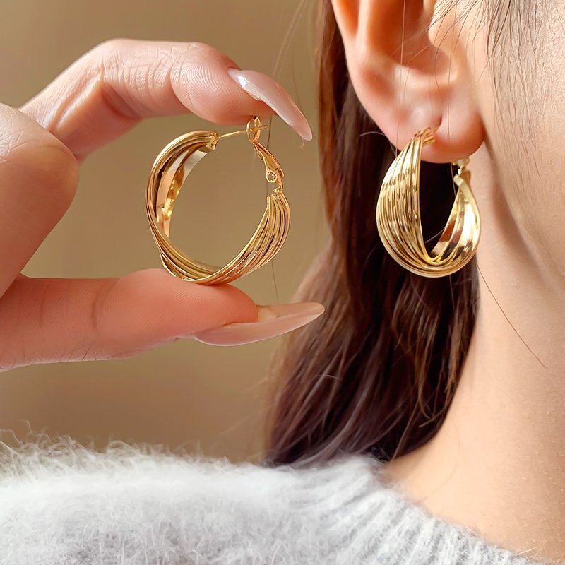 Metal circle earrings for women with a light luxury and high-end temperament. 2024 new popular and unique ear accessories