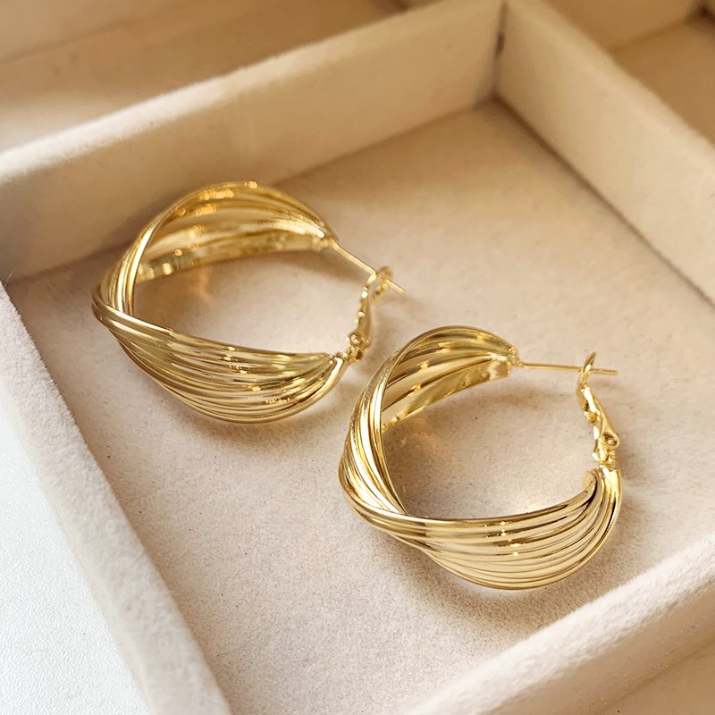 Metal circle earrings for women with a light luxury and high-end temperament. 2024 new popular and unique ear accessories