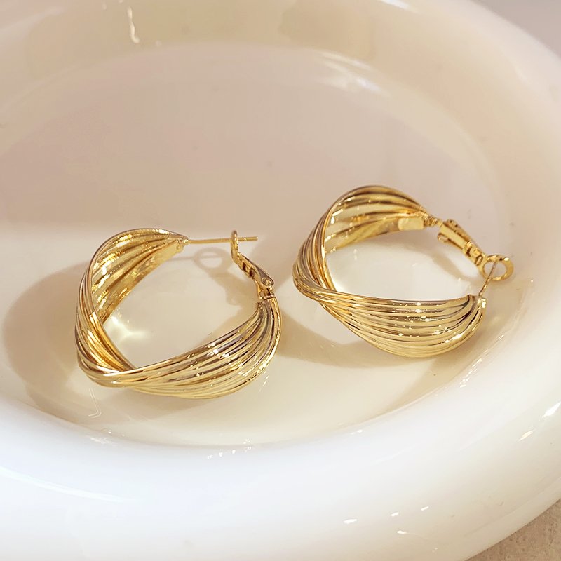 Metal circle earrings for women with a light luxury and high-end temperament. 2024 new popular and unique ear accessories