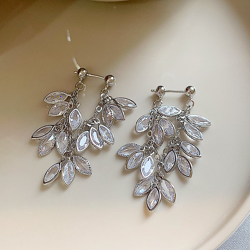 Silver zircon tassel earrings for women with a light luxury and high-end feel, 2024 new explosive style, niche and unique earrings