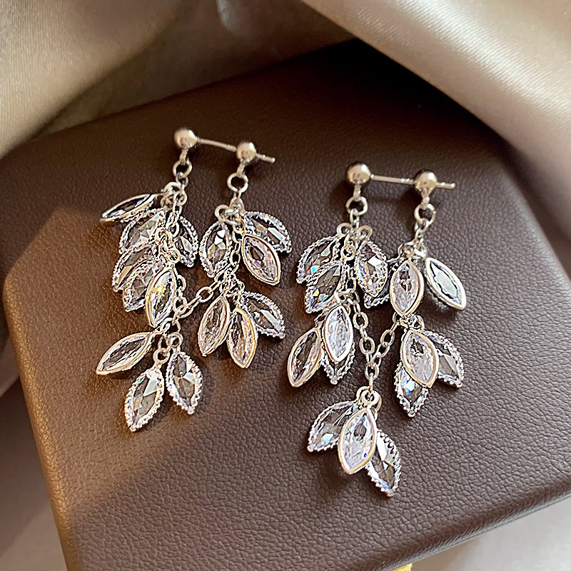 Silver zircon tassel earrings for women with a light luxury and high-end feel, 2024 new explosive style, niche and unique earrings