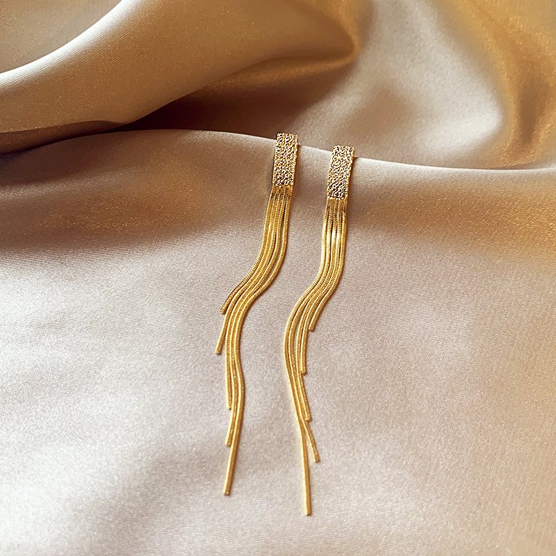 Temperament long tassel earrings with a light luxury and high-end feel, earrings for women 2024 new popular and unique ear accessories