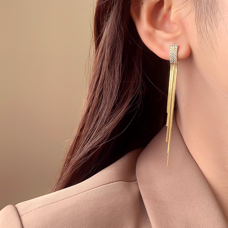 Temperament long tassel earrings with a light luxury and high-end feel, earrings for women 2024 new popular and unique ear accessories