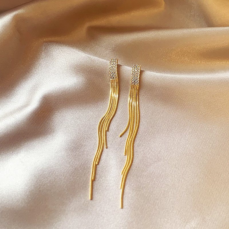 Temperament long tassel earrings with a light luxury and high-end feel, earrings for women 2024 new popular and unique ear accessories