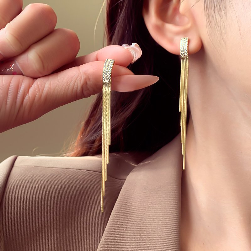 Temperament long tassel earrings with a light luxury and high-end feel, earrings for women 2024 new popular and unique ear accessories