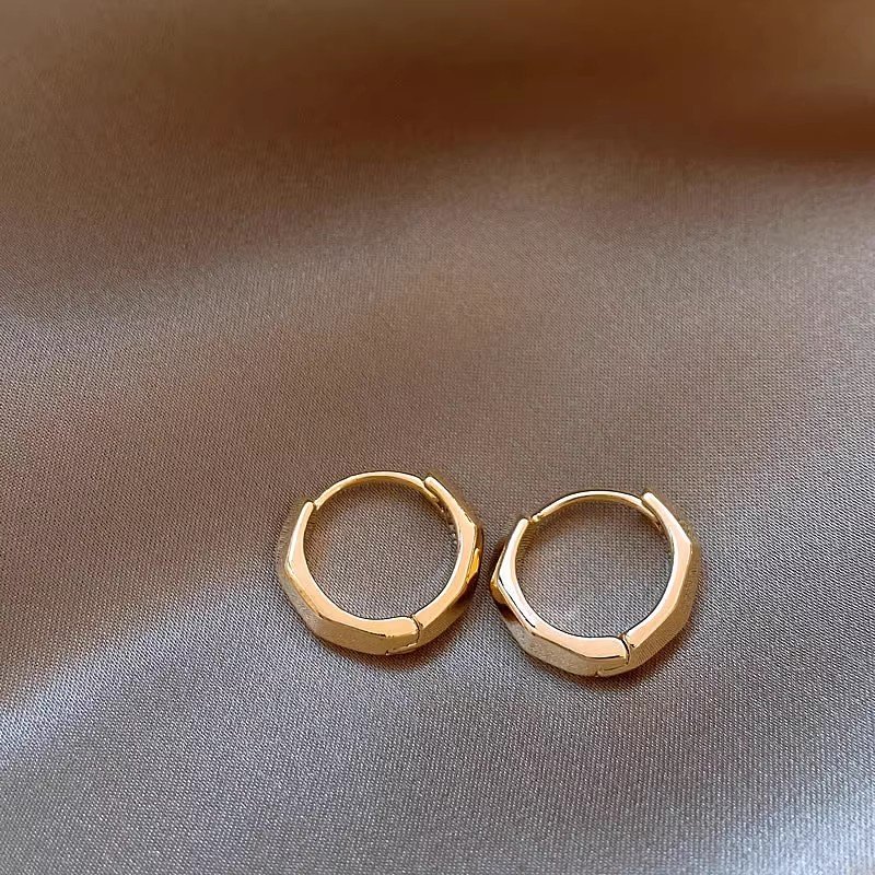 Unique plain ring earrings for women in 2024, popular new styles, high-end and light luxury earrings suitable for summer niche earrings