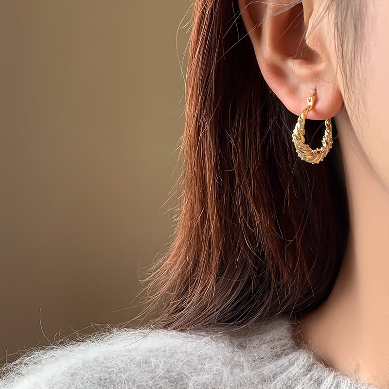 Wrapped zircon earrings for women 2024 new popular light luxury ear buckles, ear rings, high-end and elegant ear accessories