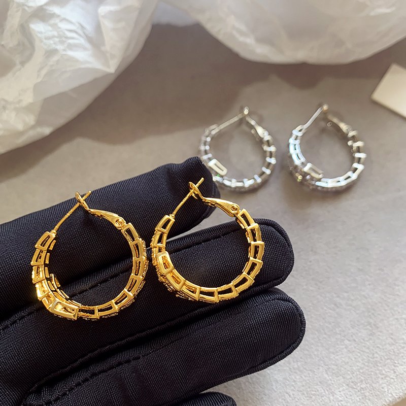 Zhao Lusi's popular snake shaped earrings and earrings are unique for women. 2024 new high-end earrings