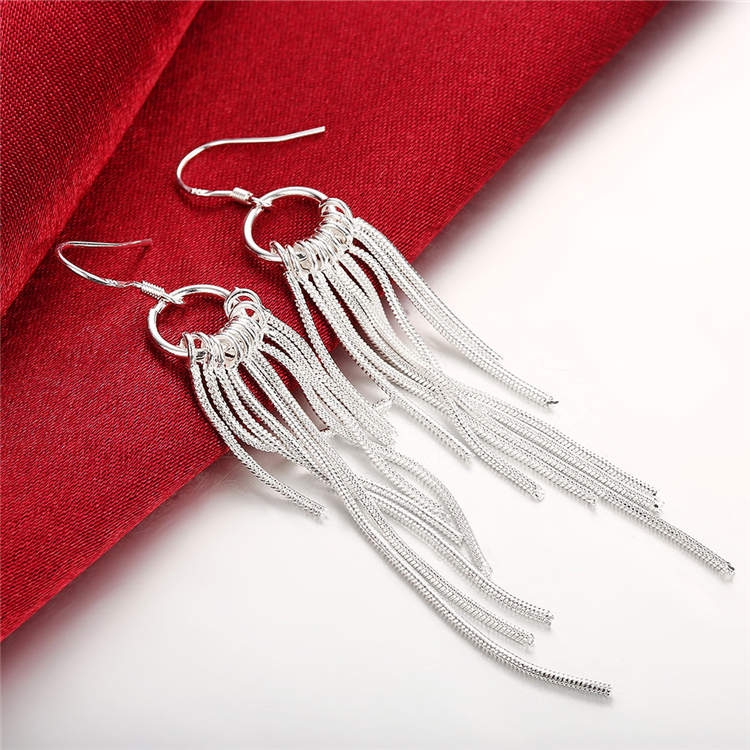 Silver earrings, women's long tassel willow earrings, fashionable, simple, elegant, high-end accessories, gifts