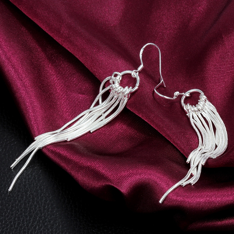 Silver earrings, women's long tassel willow earrings, fashionable, simple, elegant, high-end accessories, gifts