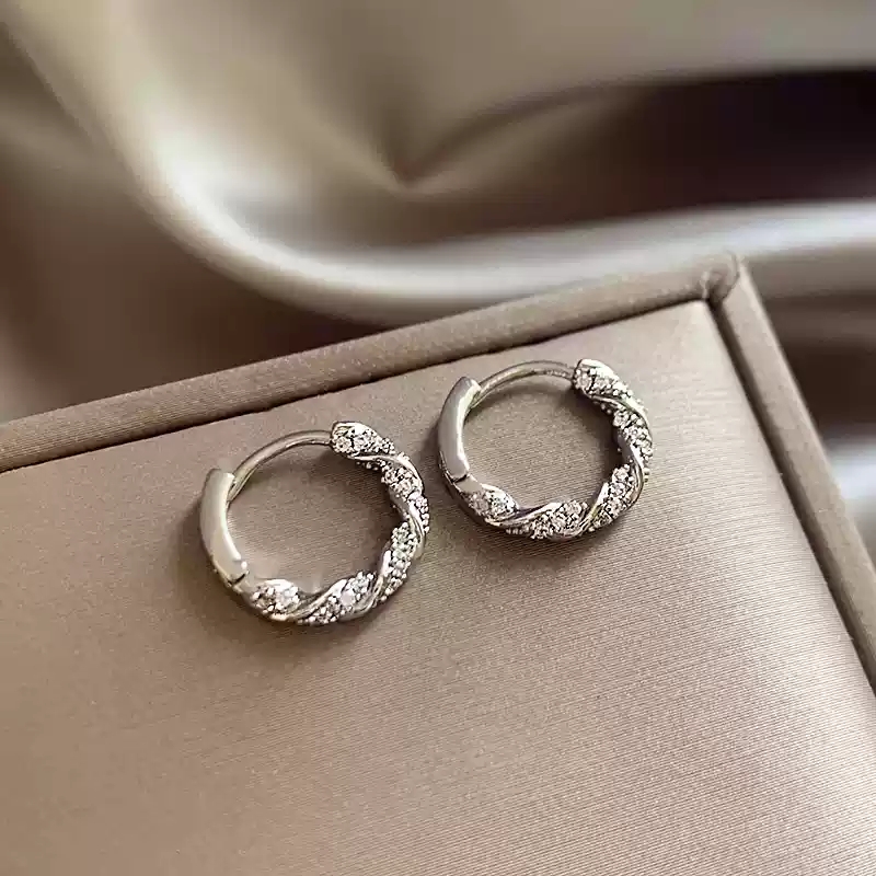 Diamond studded silver earrings~