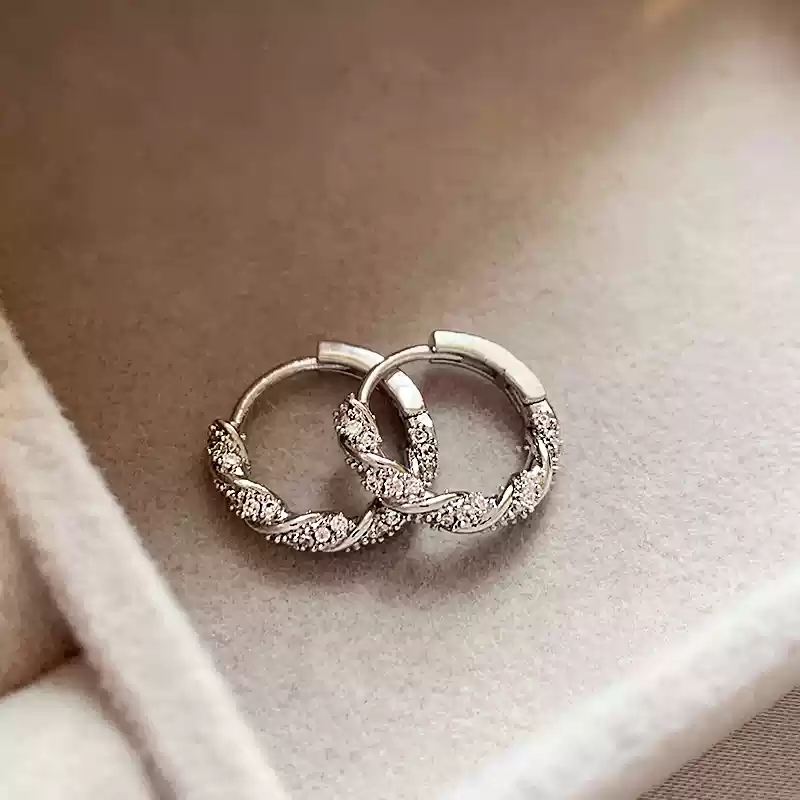 Diamond studded silver earrings~